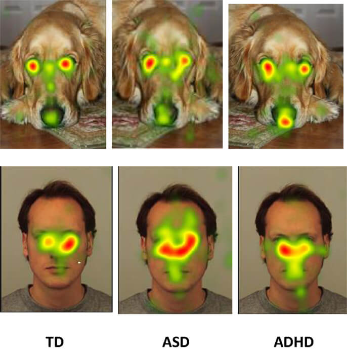 Eye tracking heatmap diagram